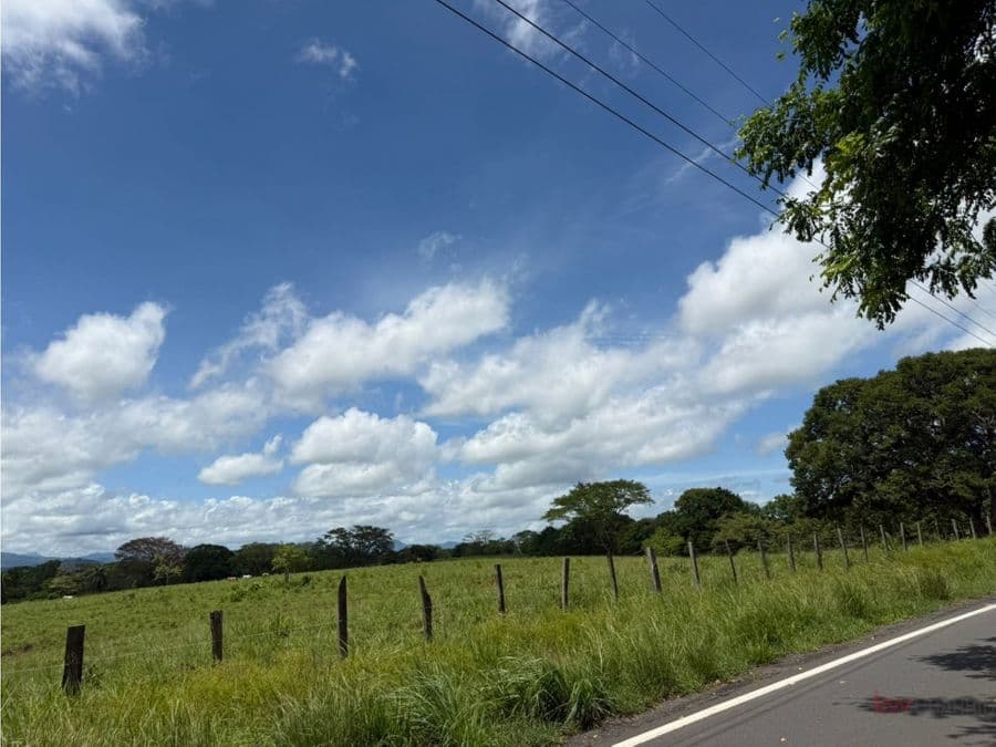 Finca en San Lorenzo