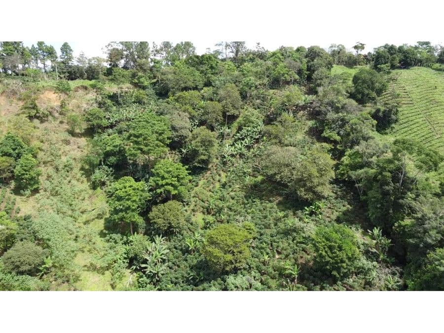 Finca en Renacimiento