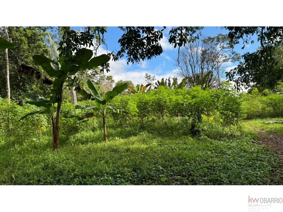 Terreno en San Félix