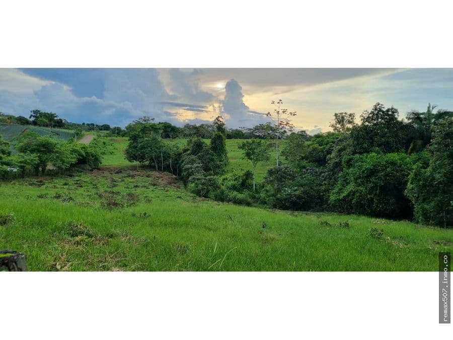 Terreno en La Chorrera