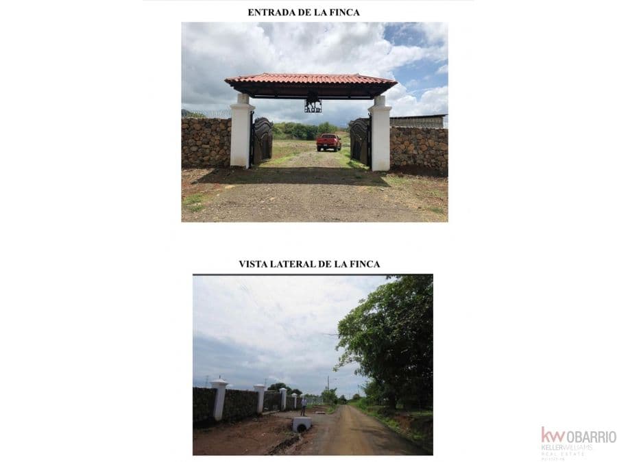 Estate at San Carlos