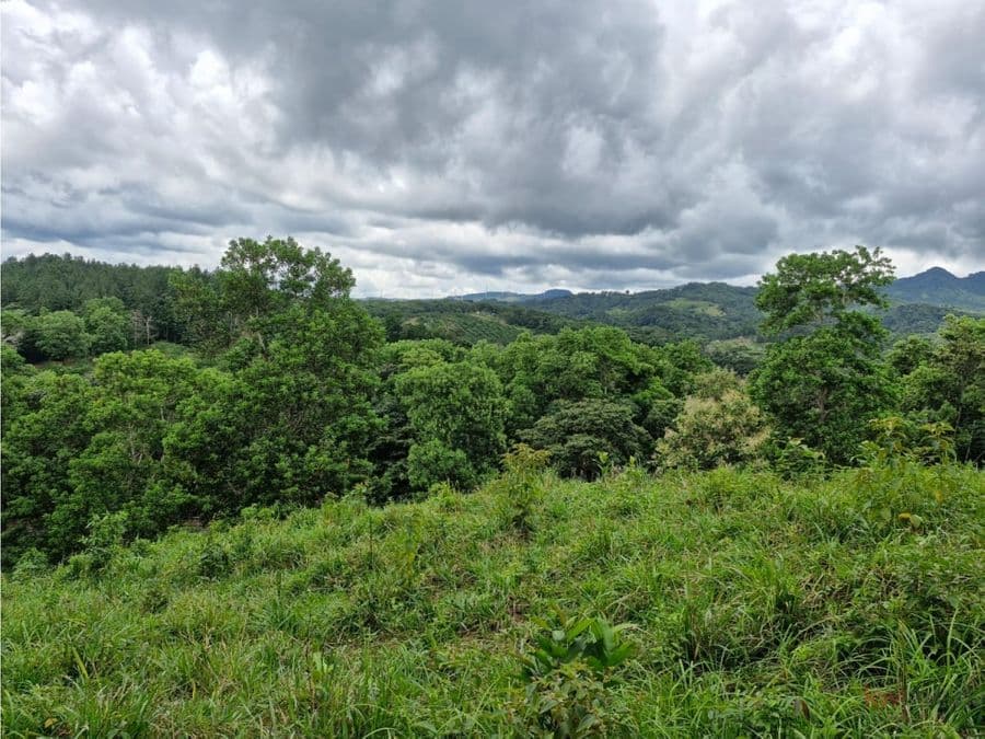 Terreno en Penonomé