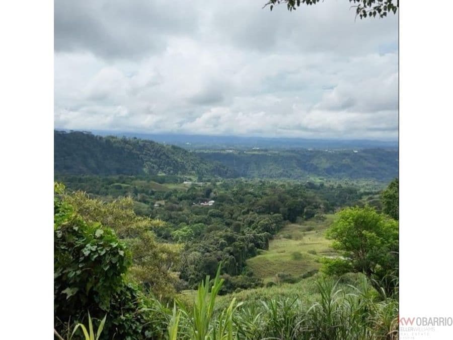 Finca en Renacimiento