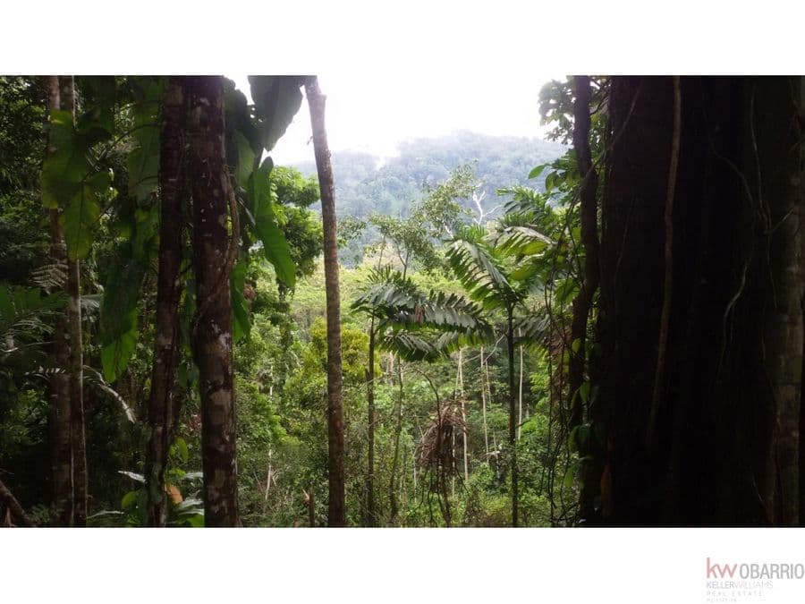 Finca en Changuinola